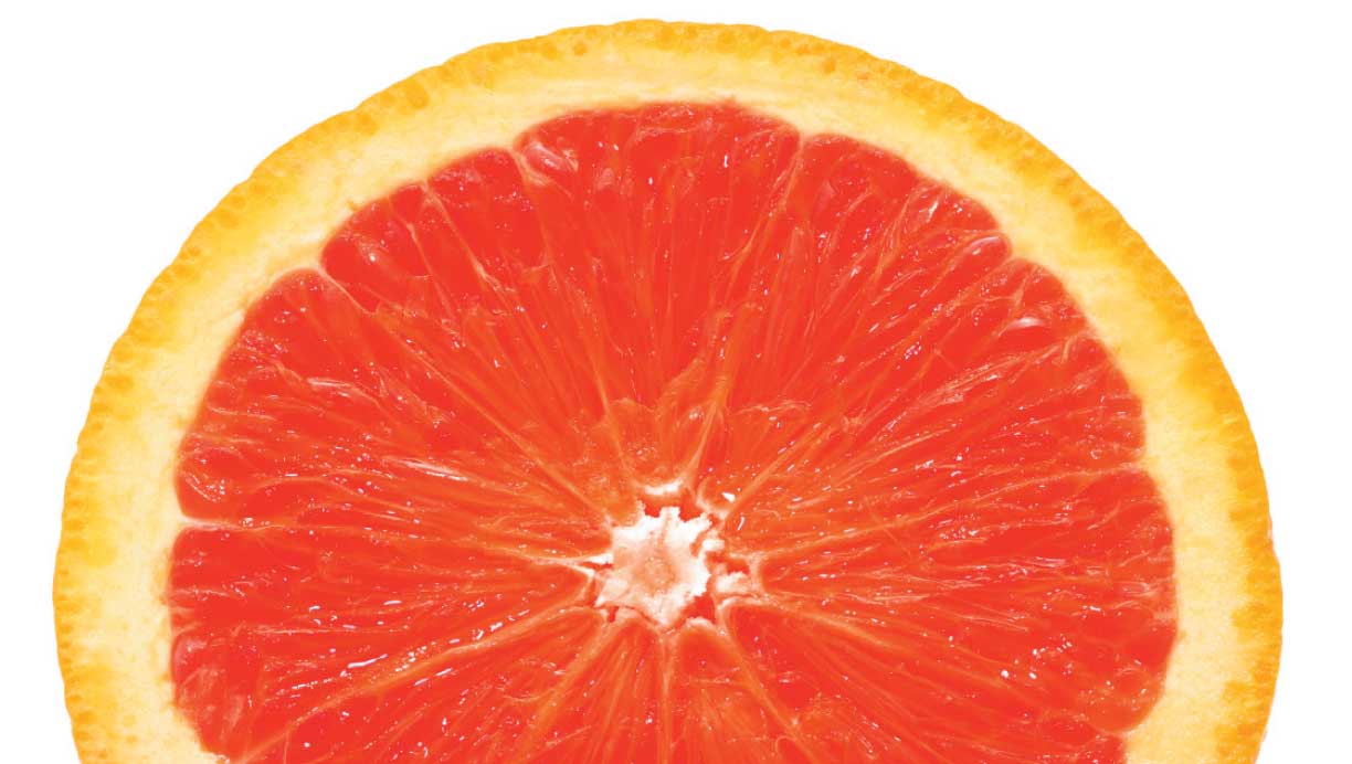 grapefrugt