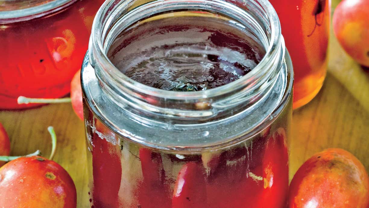 Hjemmlavet æblegele af paradisæbler