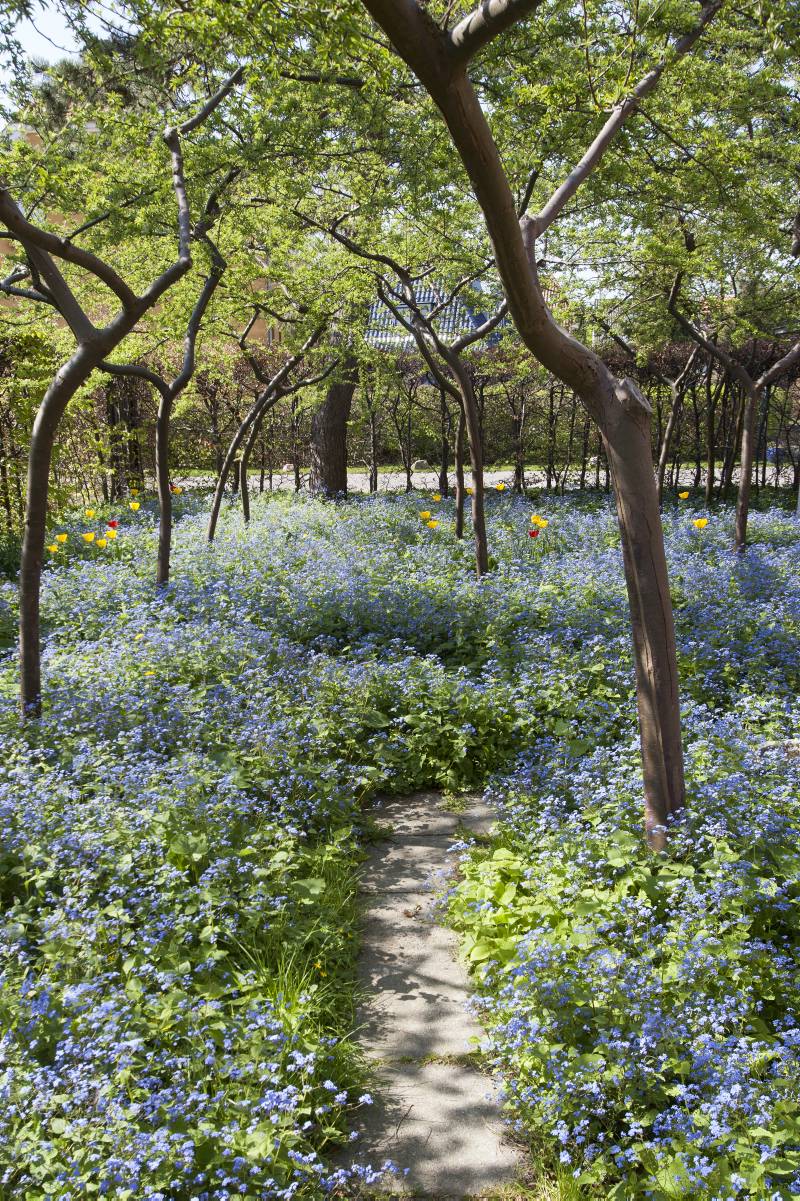 Bunddække letter dit havearbejde