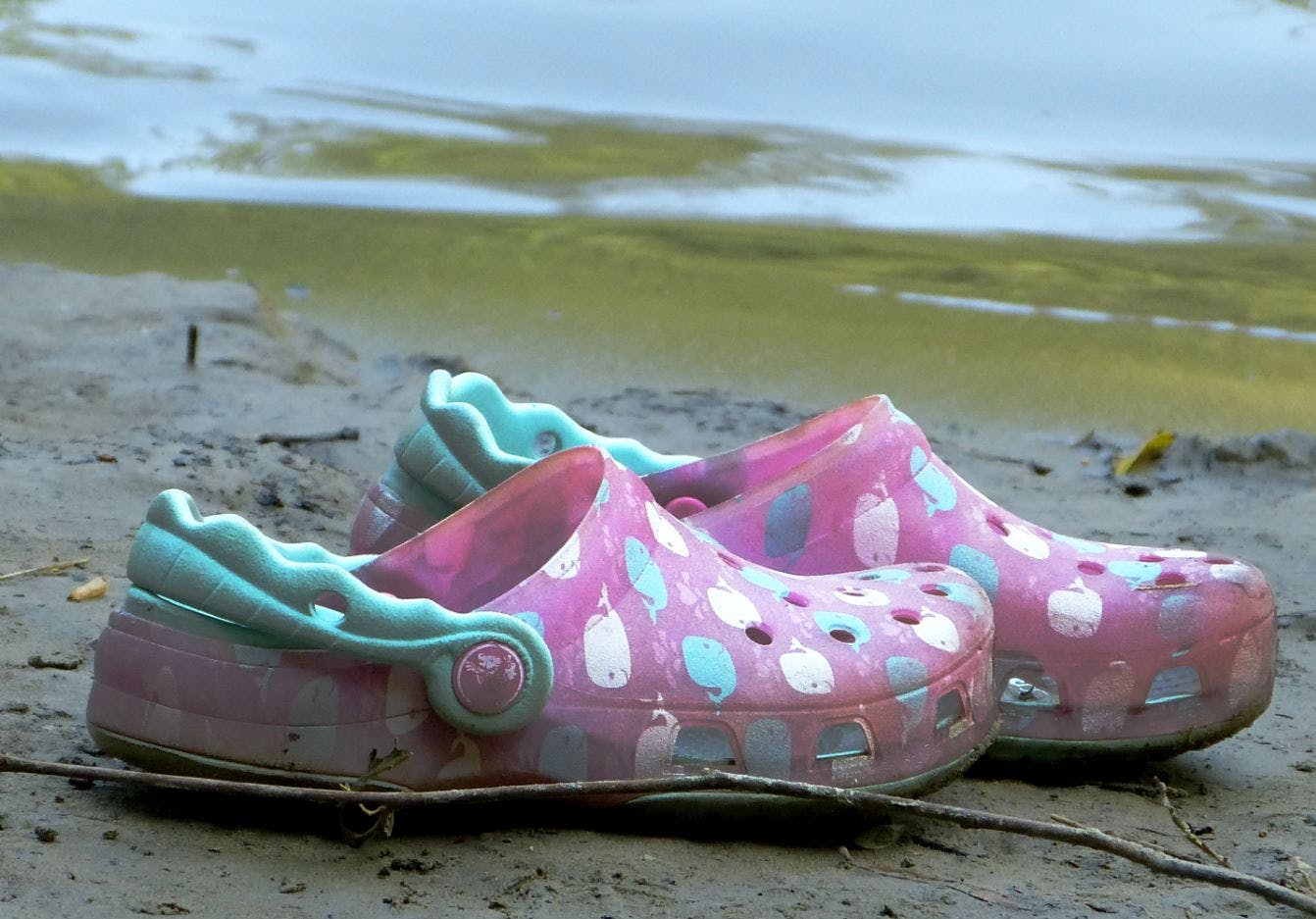 Crocs