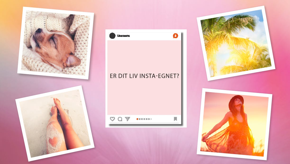 Er dit liv Insta-egnet?