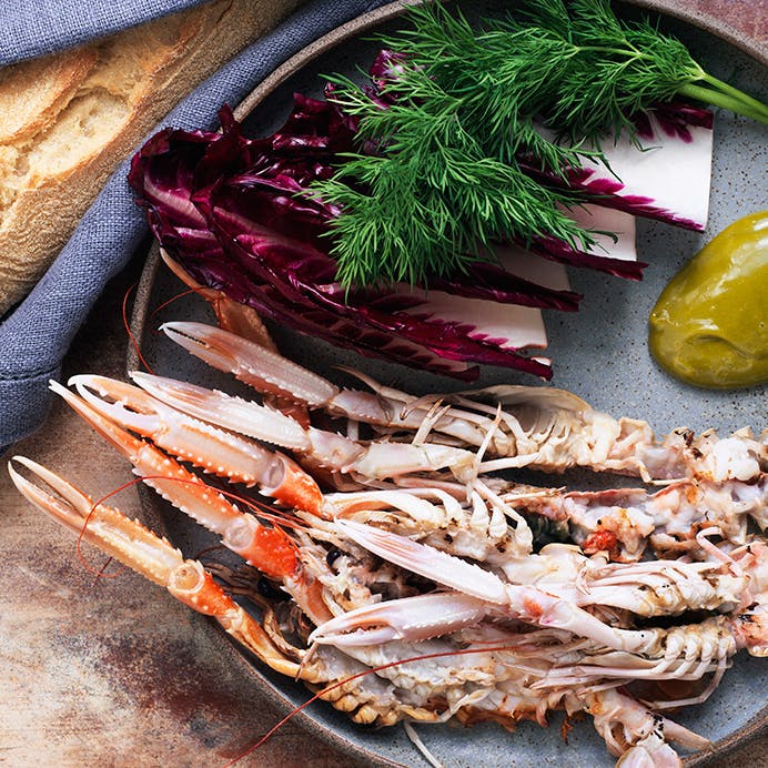 Grillet jomfruhummer med estragonmayo