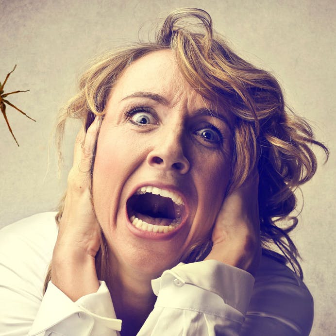 Kvinde skriger edderkop