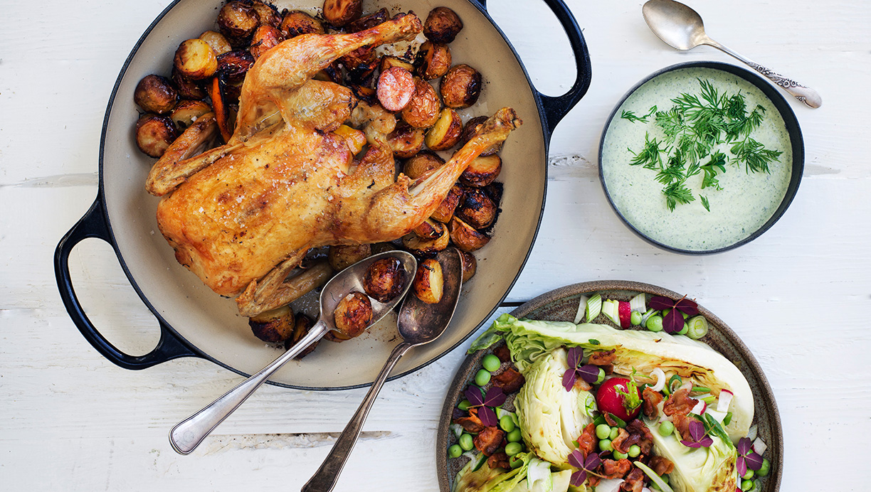 Citronkylling med lun spidskålssalat og grøn urtecreme 