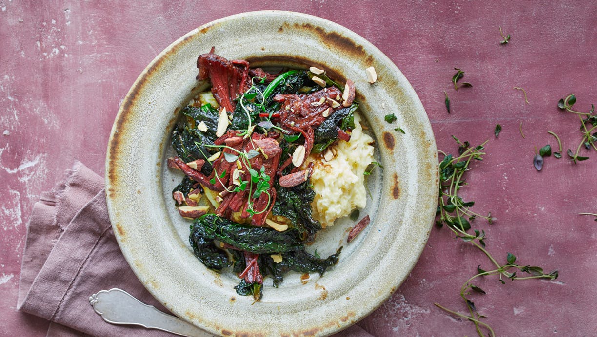 Kartoffelmos med braiseret spidsbryst og palmekål