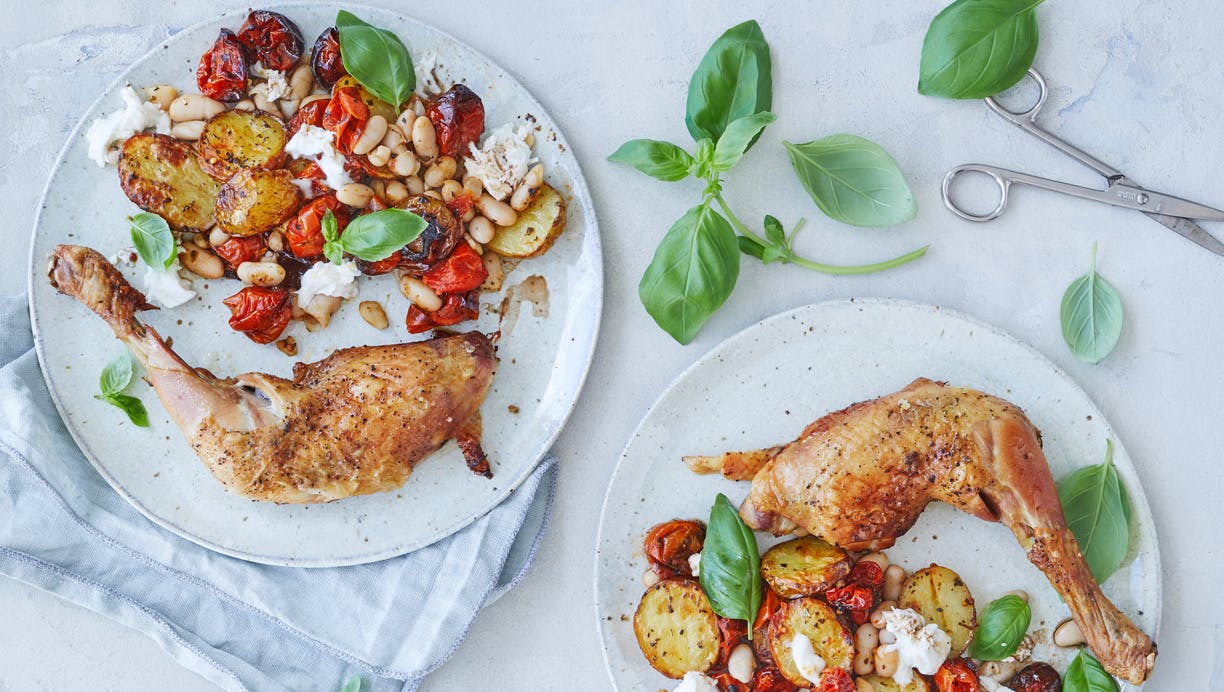 Kyllingelår med ristet italiensk kartoffelsalat