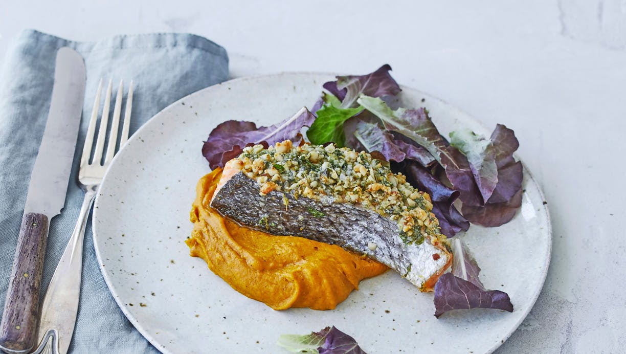 Laks med pinjekernecrust og græskarpuré