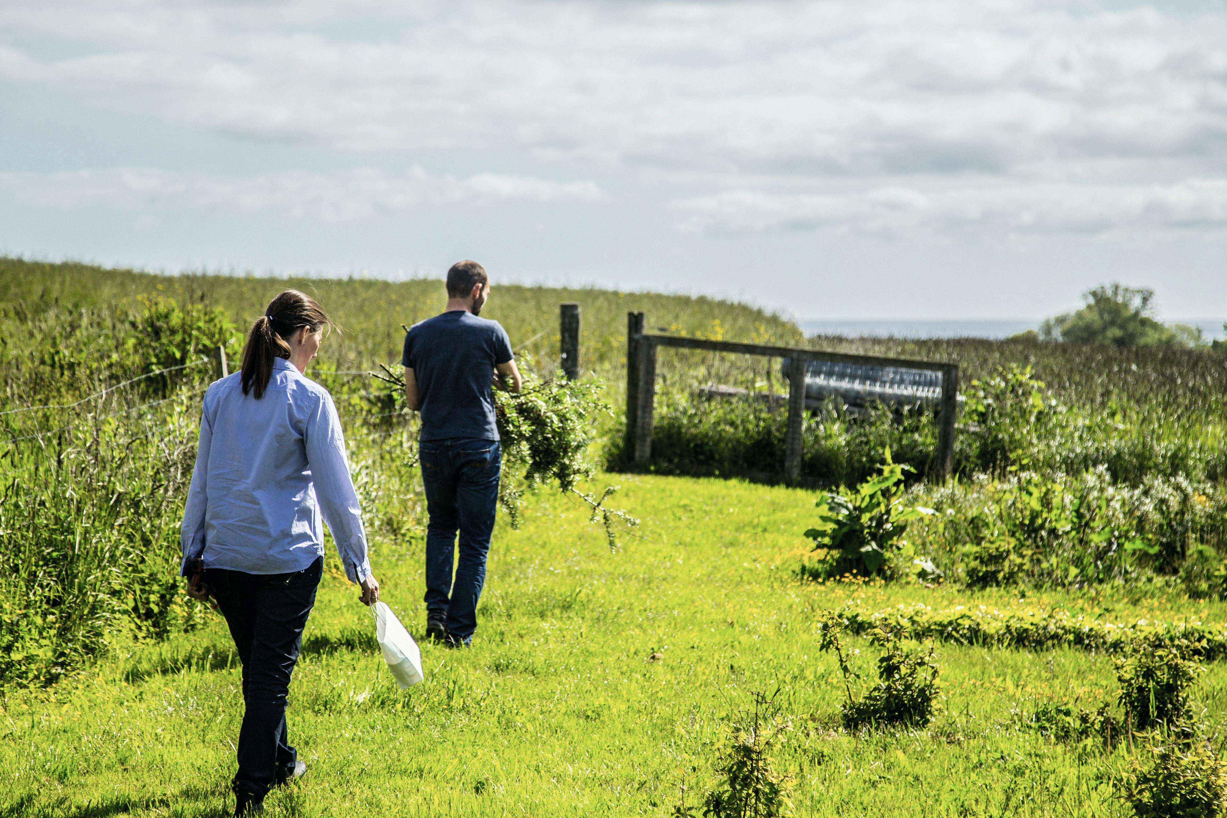 Naturvandring på Bornholm