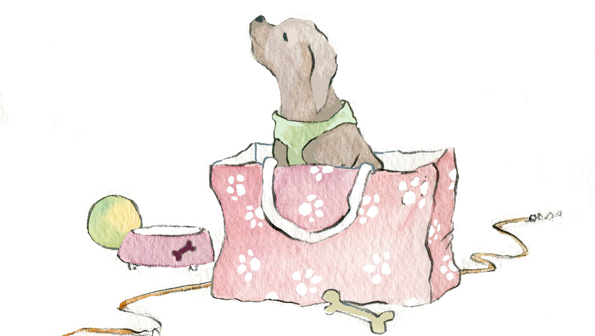 Brev til Nikoline Werdelin