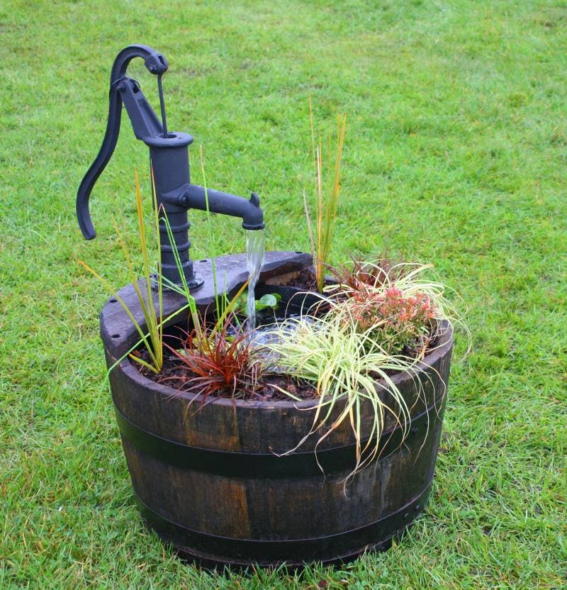 Kar med vand i haven