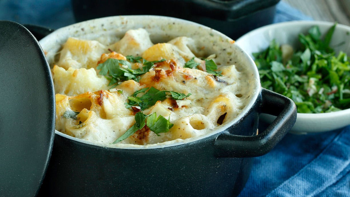 pastagratin med kylling