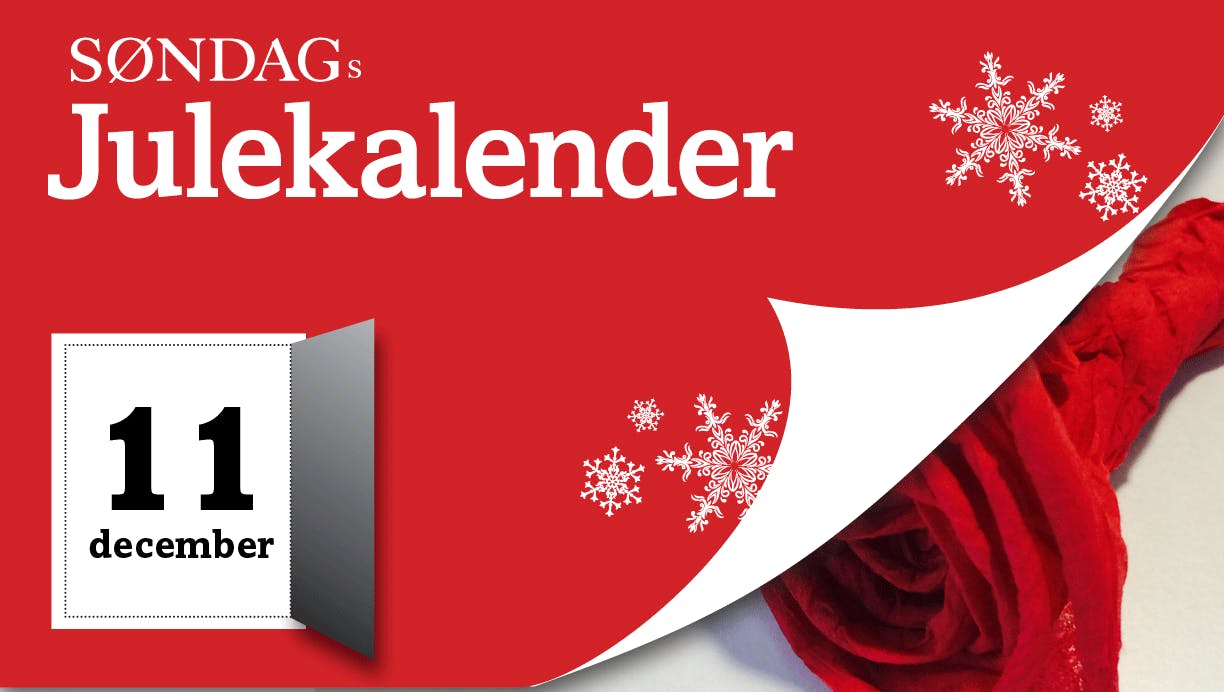 Julepynt - smukke servietroser