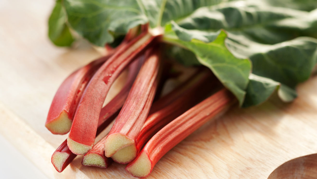 Camilla Plums rabarbarkompot