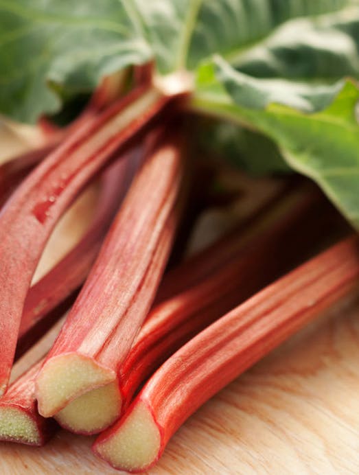 Camilla Plums rabarbarkompot