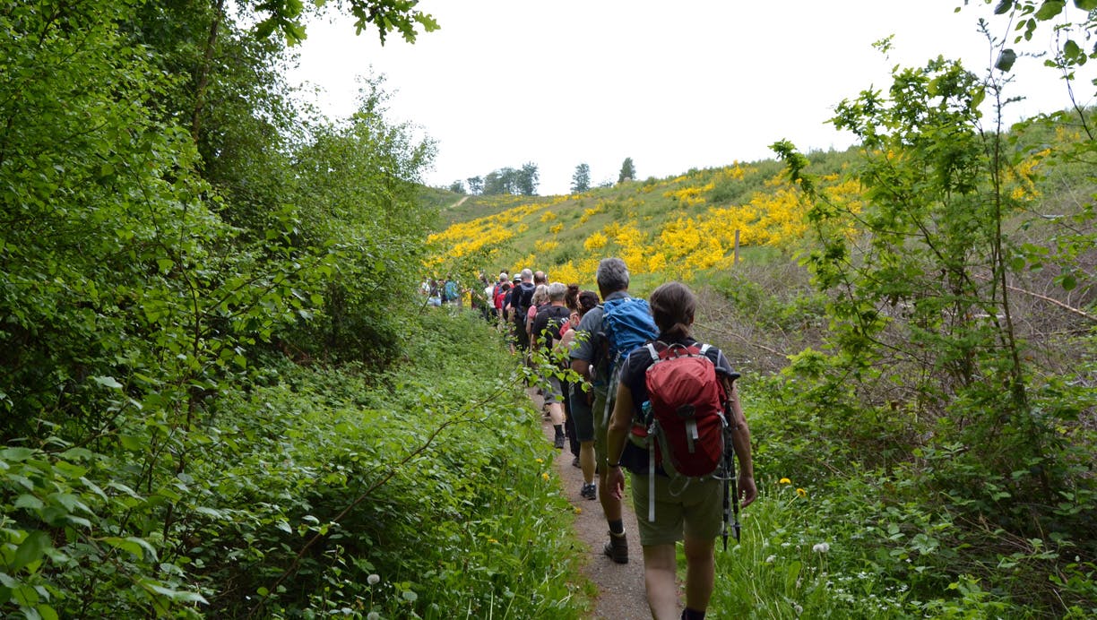 Vandring Øhavsstien