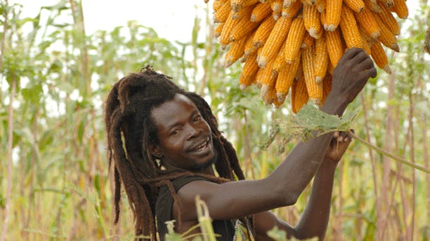 https://imgix.femina.dk/media/billeder/2012/juli/fairtrade-prim.jpg