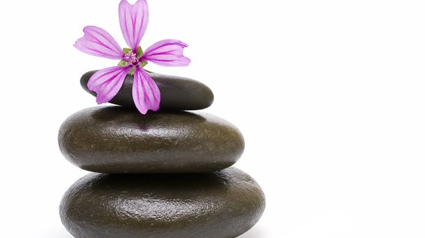 https://imgix.femina.dk/media/billeder/2012/oktober/feng-shui-prim.jpg