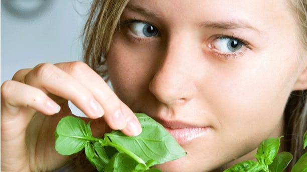 Her er maden, du skal ha'!