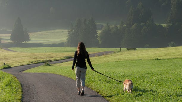 https://imgix.femina.dk/media/billeder/2014/januar/walking-prim.jpg