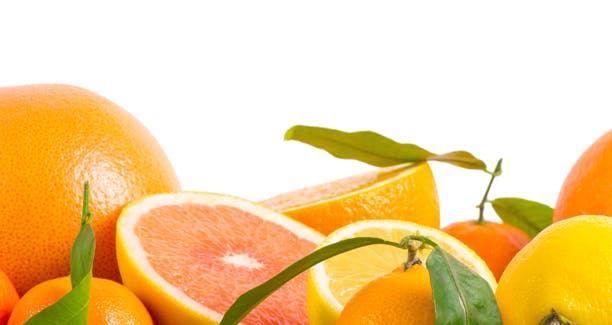 https://imgix.femina.dk/media/sondag/2013/01/02/viden-om-citrus/viden-om-citrus-stor.jpg