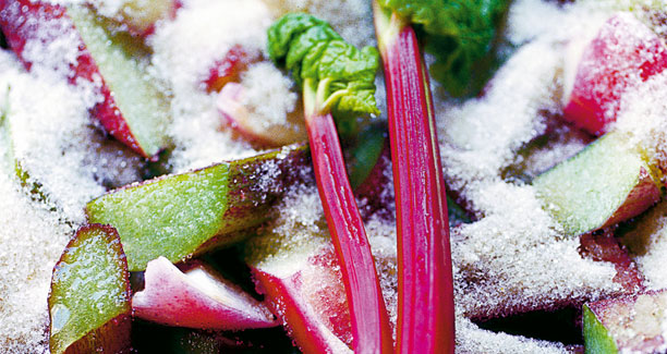 Rabarbertærte a la Camilla Plum