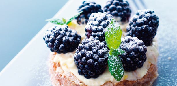 https://imgix.femina.dk/media/websites/mama/mad/desserter/kagetid/brombaerdroemme-ny.jpg