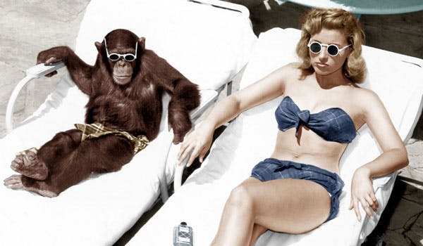 Kvinde med abe i bikini