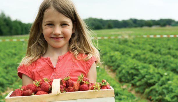 https://imgix.femina.dk/media/websites/qmag-dot-dk/website/engangsbilleder-2014/august/innoprim.jpg