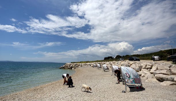 https://imgix.femina.dk/media/websites/qmag-dot-dk/website/engangsbilleder-2014/juli/hundqprim.jpg