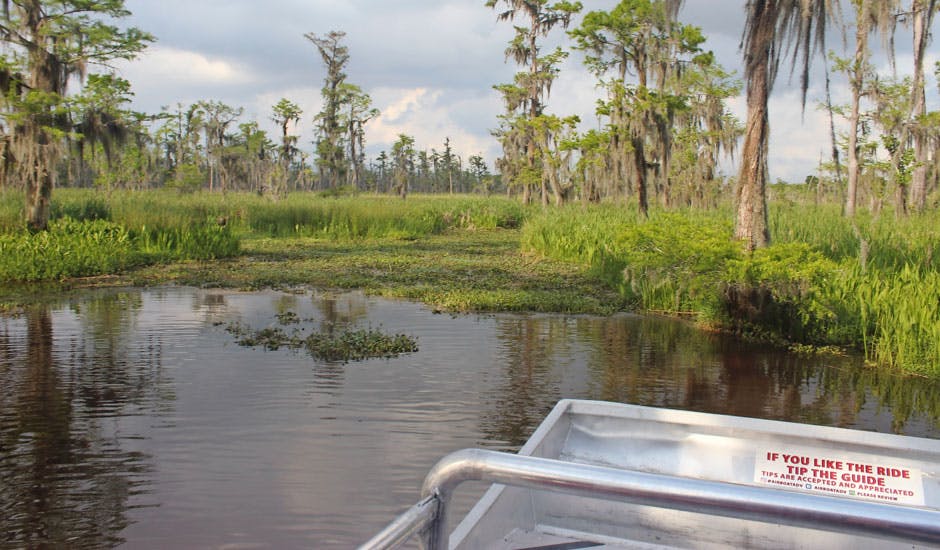 https://imgix.femina.dk/new-orleans-alligator-tur.jpg