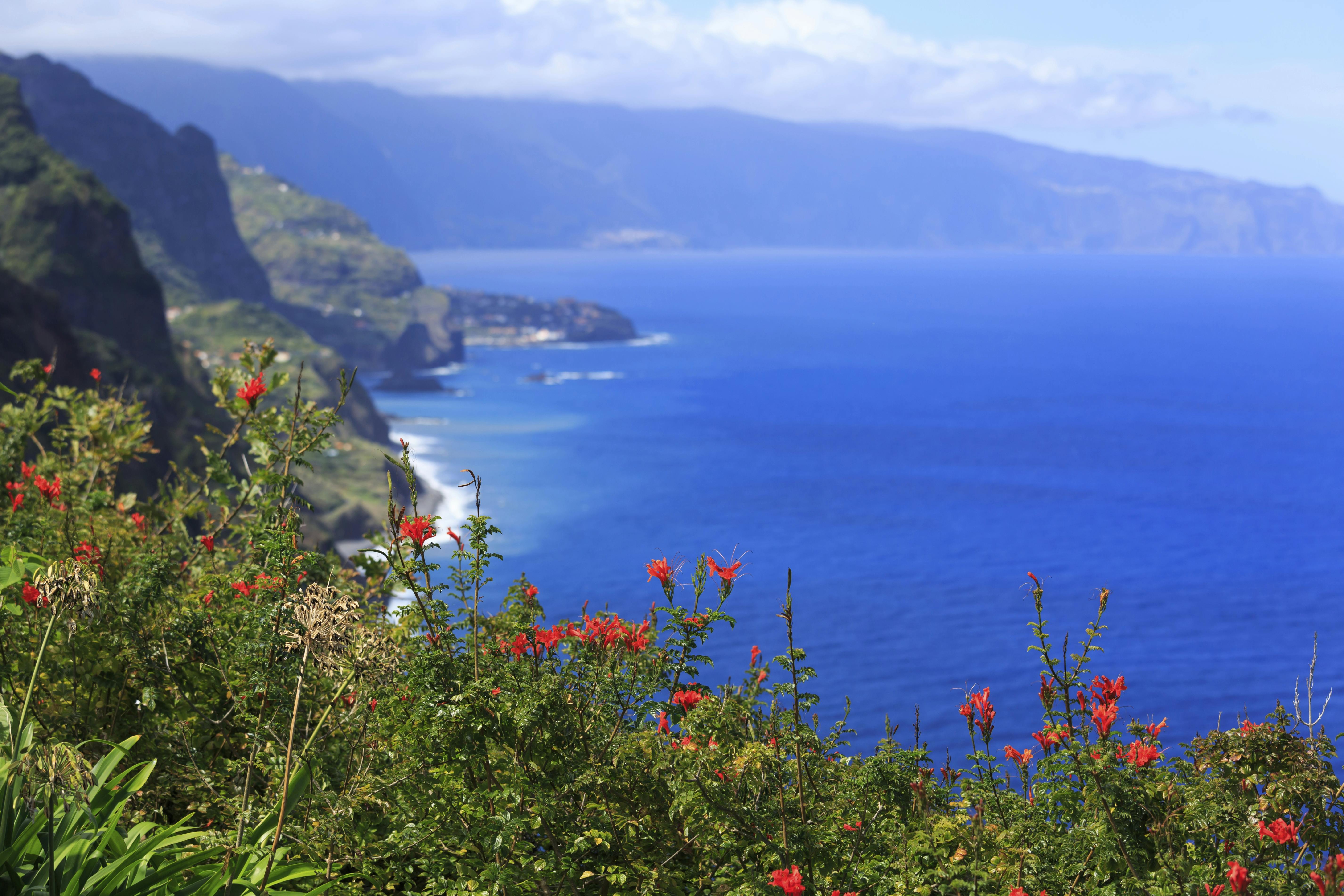Ferie med alt inkluderet: Mageløse Madeira