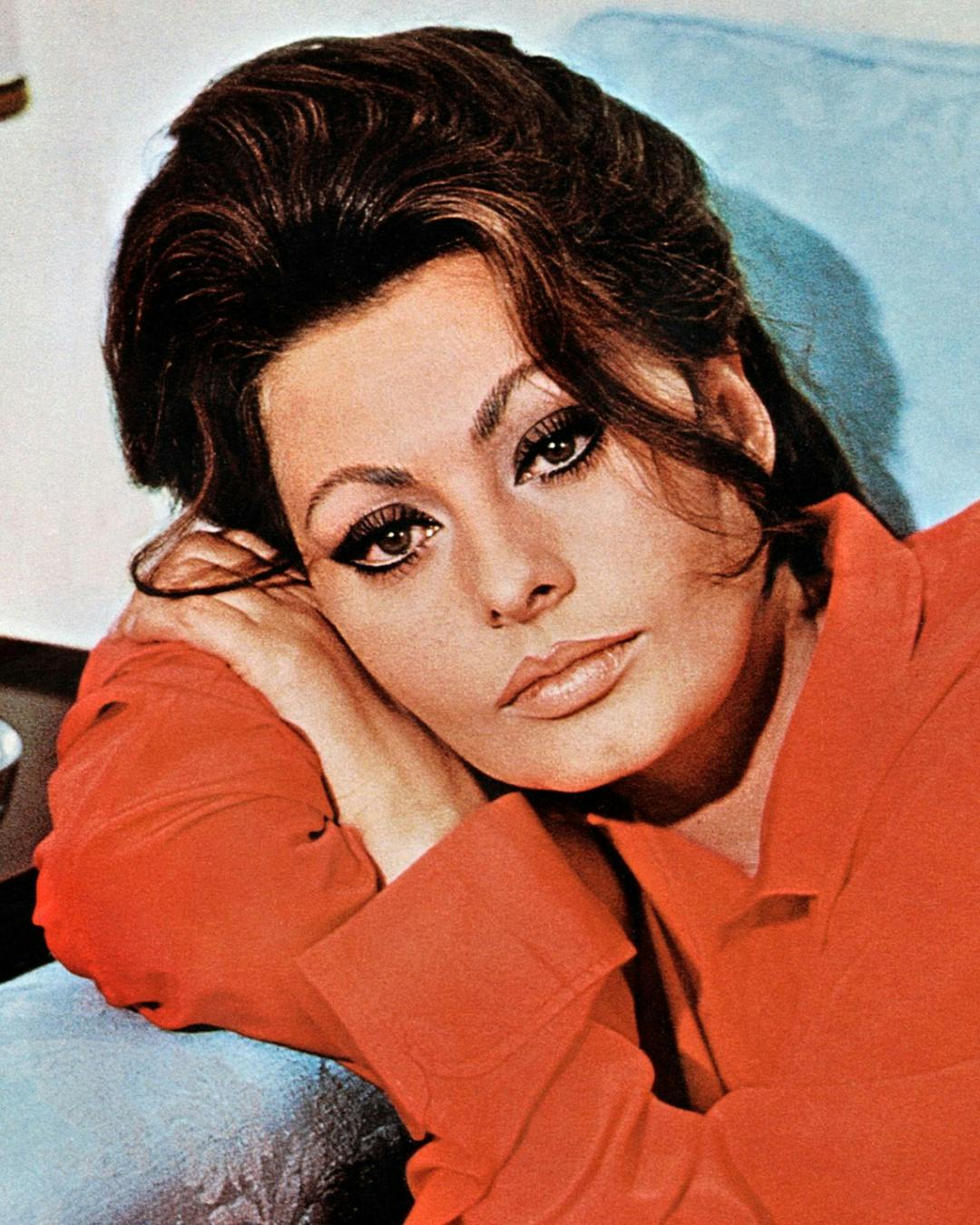 https://imgix.femina.dk/sophia_loren_mega_beskaaret.jpg