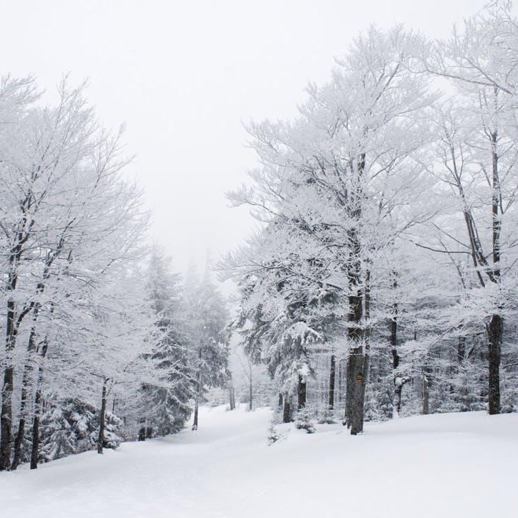 Erotisk novelle: Søde strømninger bombarderede hendes underliv, hun kunne mærke, hvordan hun svulmede mere og mere. Hendes bryster strittede, hendes lår og hofter længtes, og hendes hud vibrerede og hungrede efter kærtegn