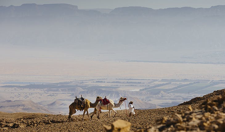 Kameltur i Israel